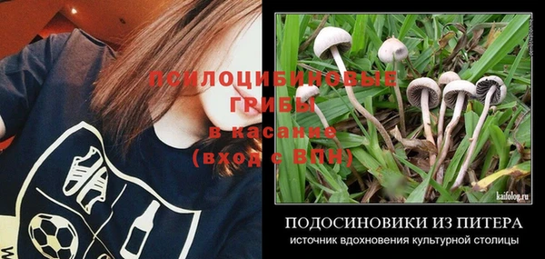 дмт Абаза