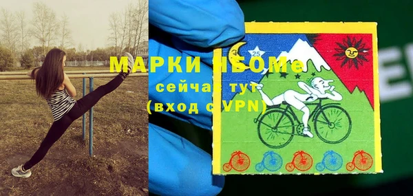дмт Абаза