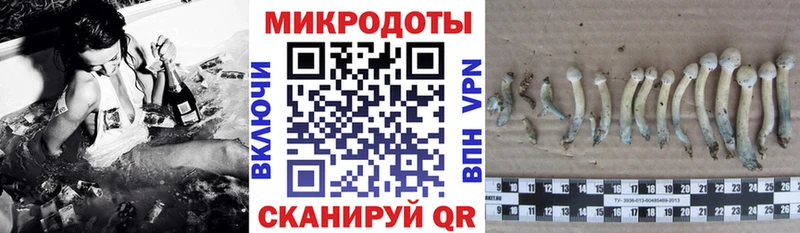 как найти наркотики  Агрыз  Галлюциногенные грибы Psilocybe 